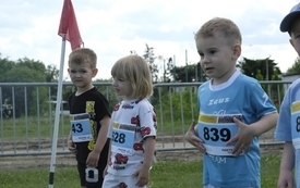 BiegMisia28