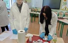 bio4