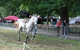 Dni Pniew-dzień 335