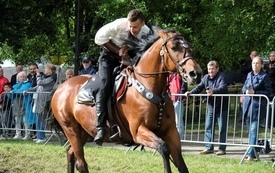 Dni Pniew-dzień 327