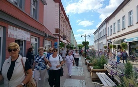 Wiklinowy Tomyśl09
