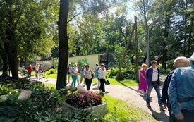 Wiklinowy Tomyśl02