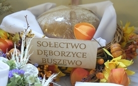DożynkiNojewo068