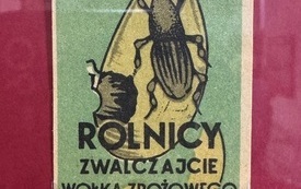 Kotlina Kłodzka na zakończenie lata (7)