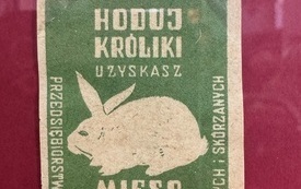 Kotlina Kłodzka na zakończenie lata (4)