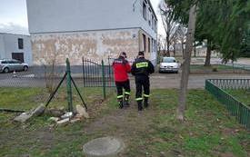 OSP dostarcza ulotki na temat szczepień w Gminie Pniewy (15)