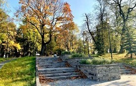 Jesień 2021 7