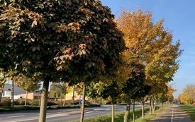 Jesień 2021 13