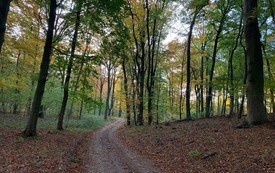 Poranek na słodko 10
