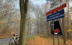 Rajd Niepodległości 4