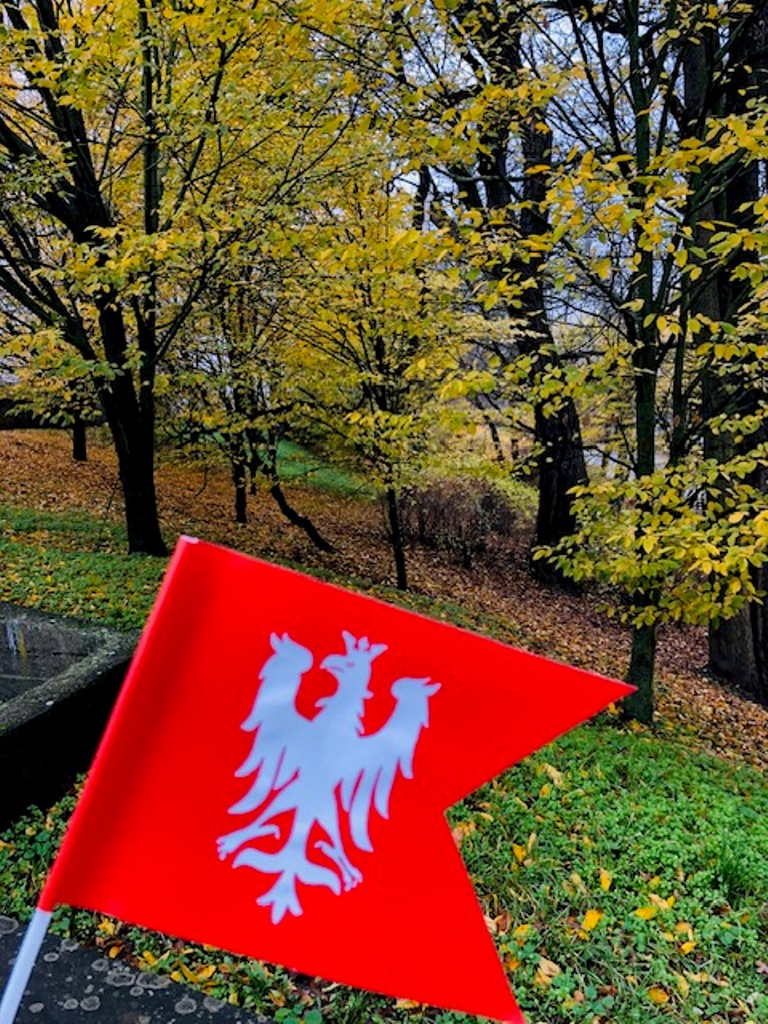 Rajd Niepodległości