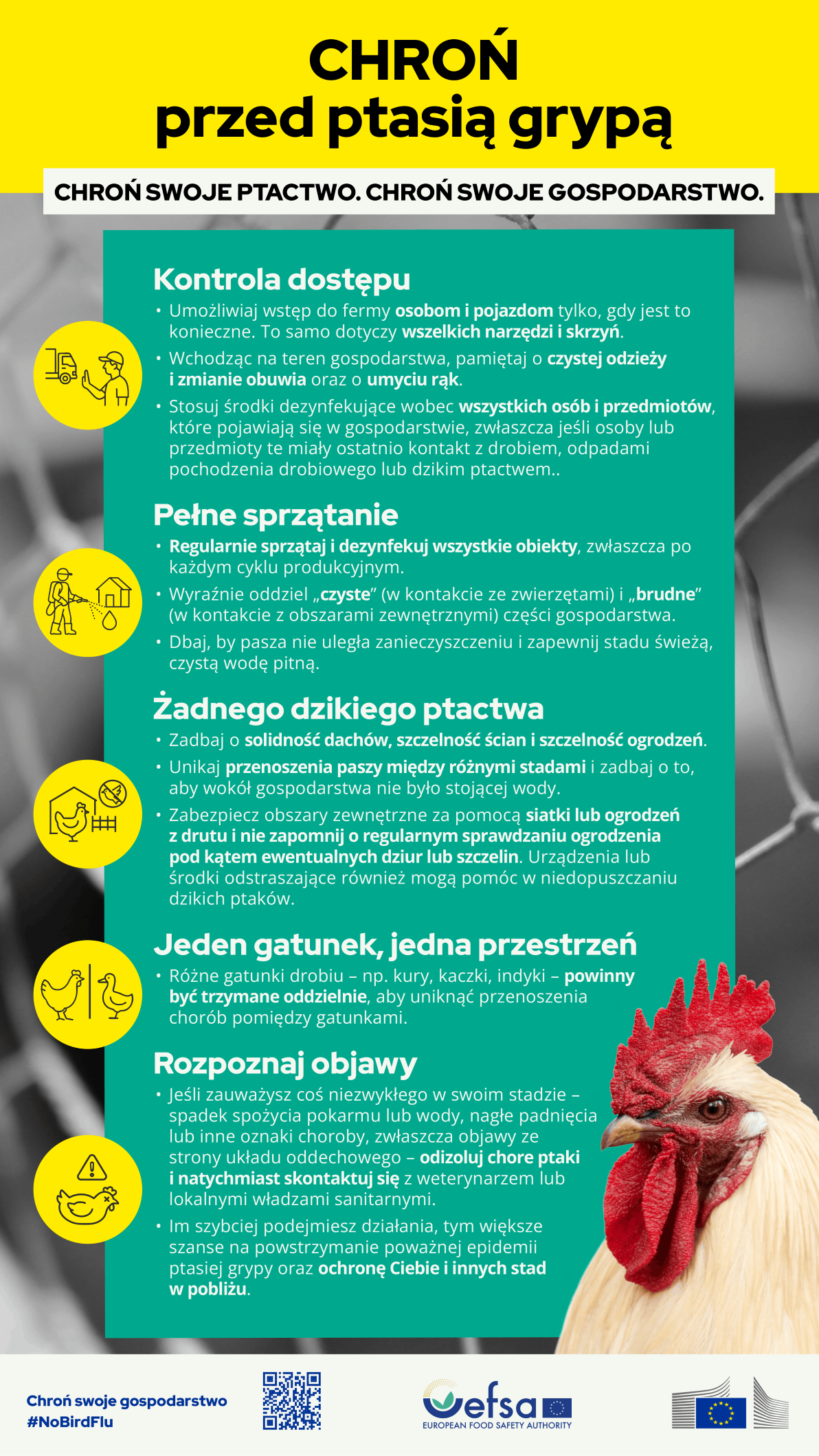 Chroń przed ptasią grypą - plakat informujący o&nbsp;kampnii