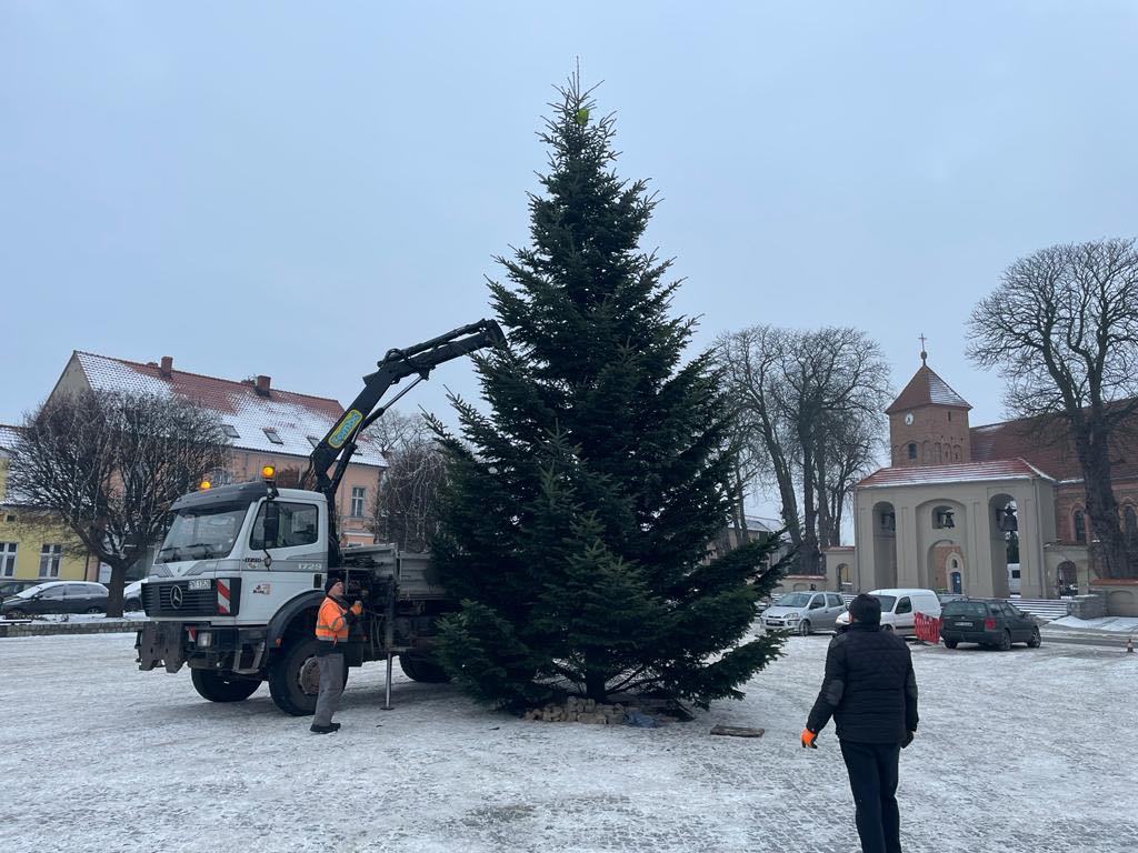 Choinka na rynku w Pniewach