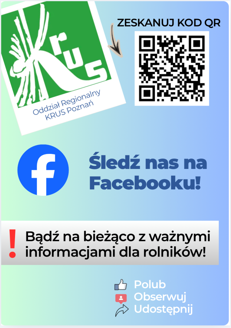 Grafika 