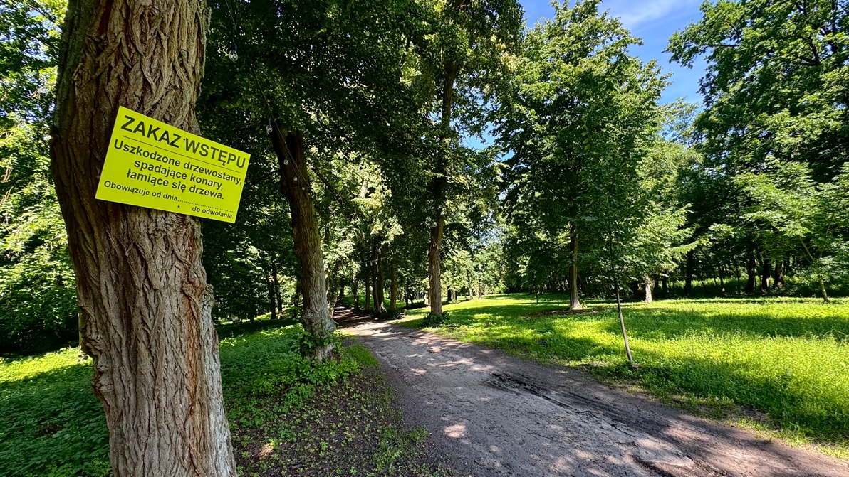 Park Miejski