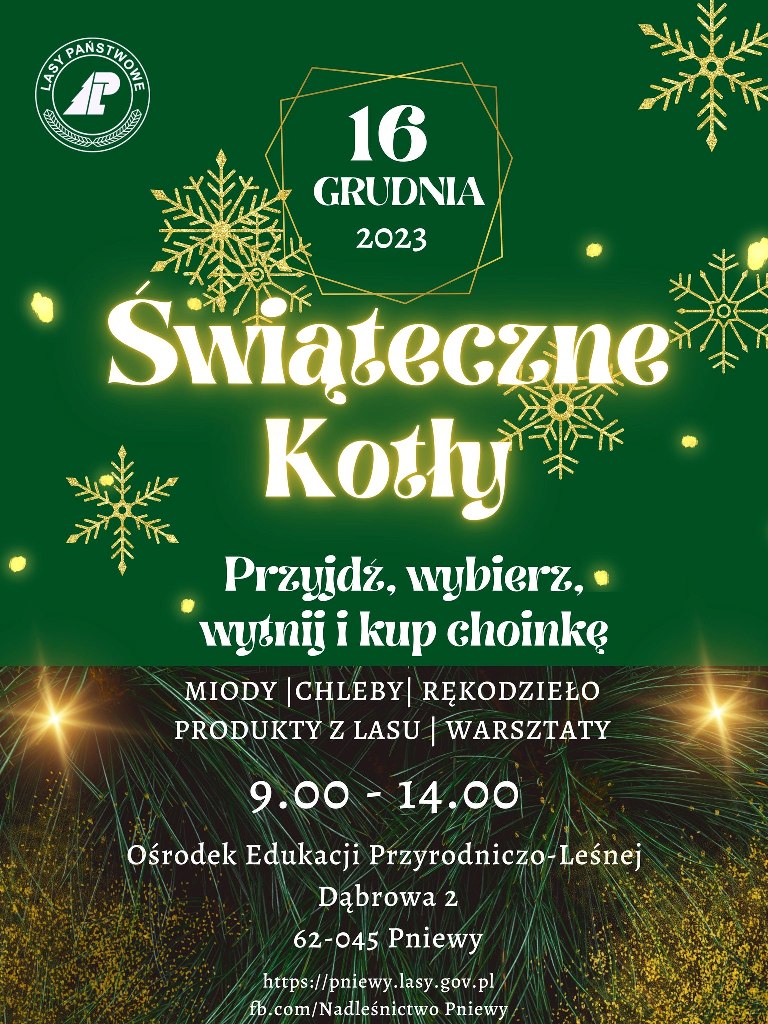 Plakat-świąteczne kotły
