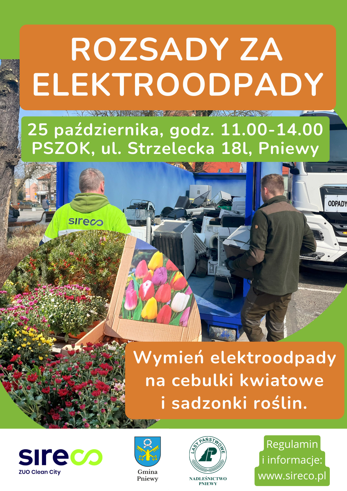 Plakat