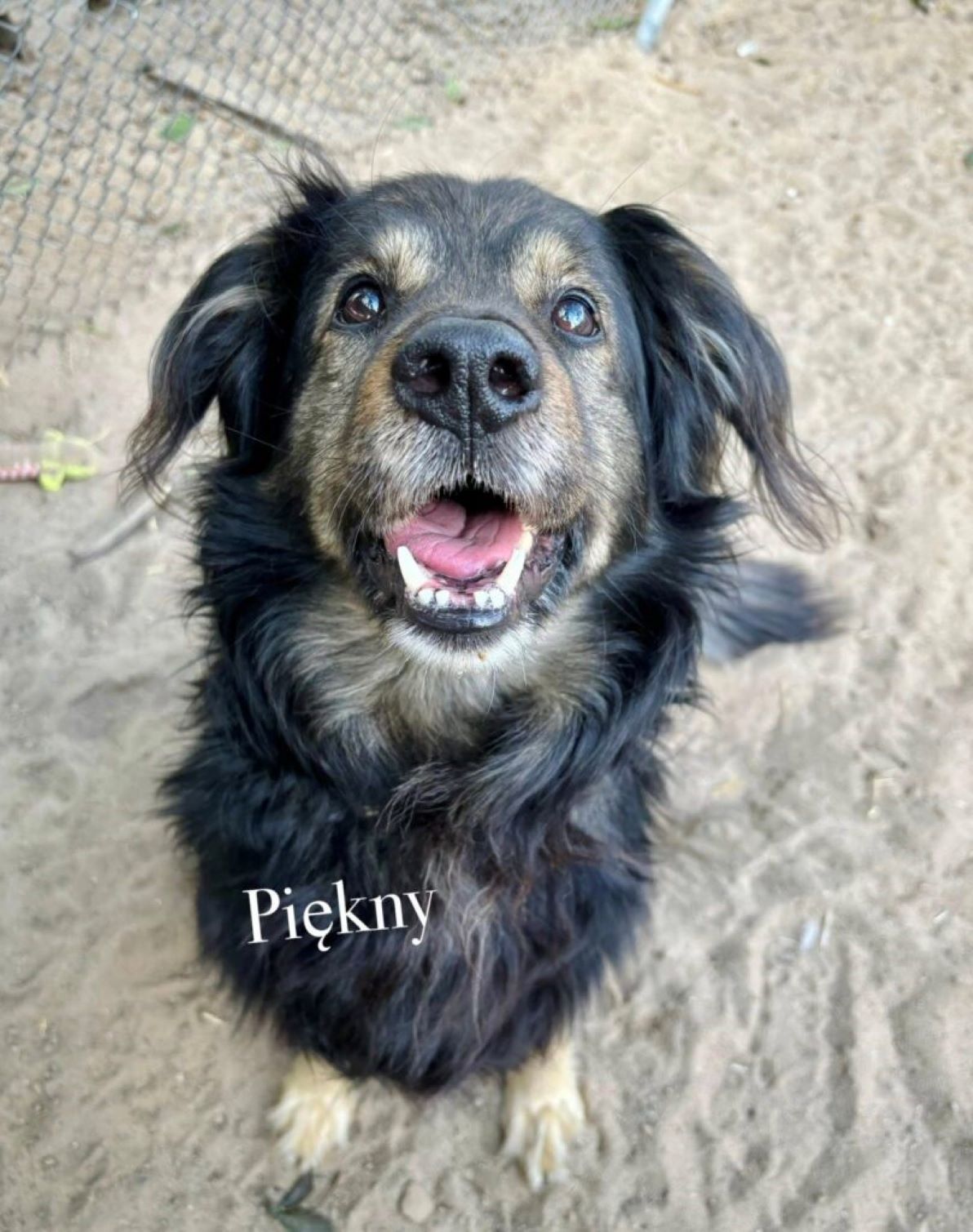 Piękny