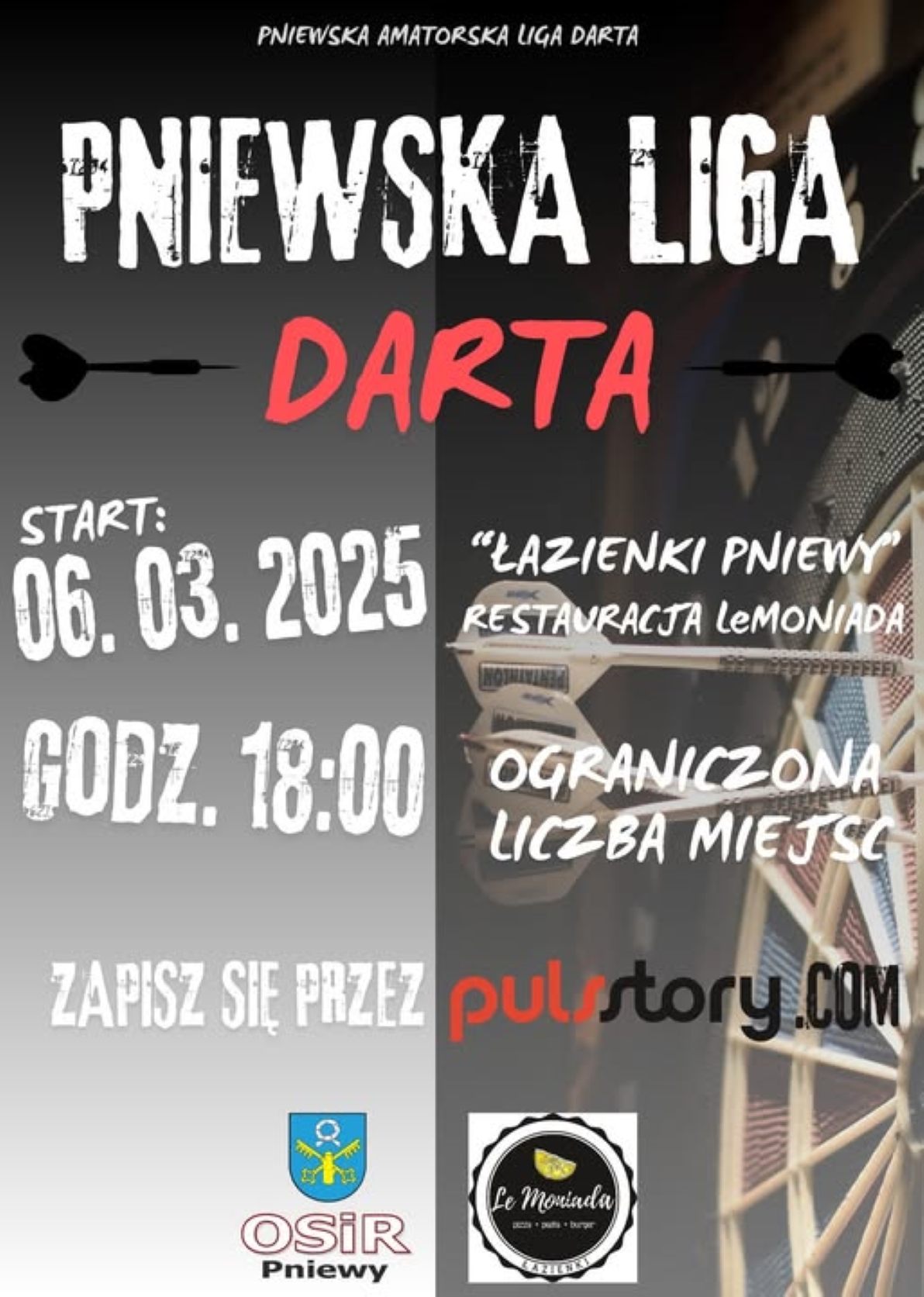Pniewska Liga Darta