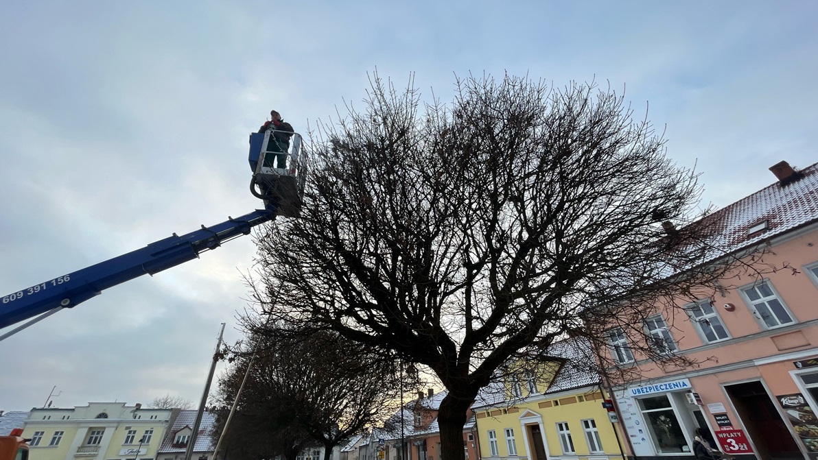 Przygotowania do świąt 2023