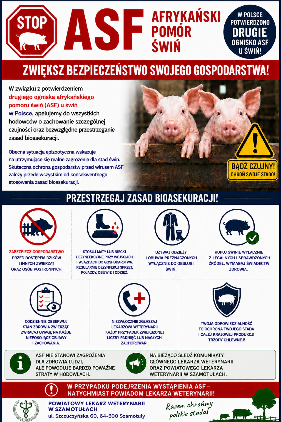 Stop ASF &ndash; afrykański pom&oacute;r świń