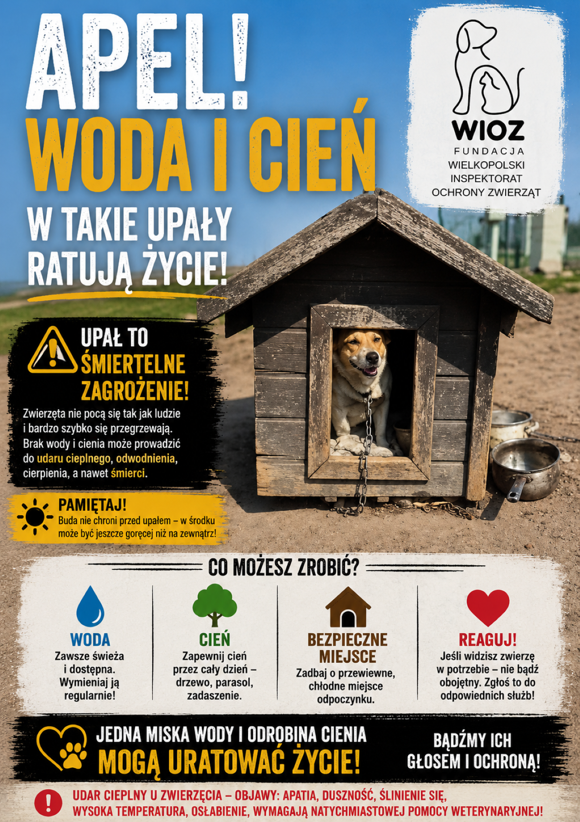 Plakat apelujący o&nbsp;zabezpieczenie zwierząt w&nbsp;trakcie upał&oacute;w