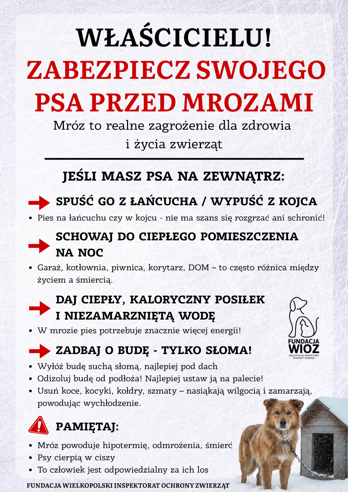 Nadchodzą mrozy, zadbaj o&nbsp;swoje zwierzęta!