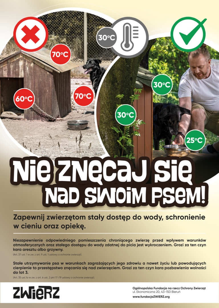 Ochrona zwierząt w Polsce i zmniejszenie ich bezdomności