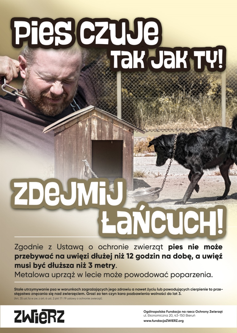 Ochrona zwierząt w Polsce i zmniejszenie ich bezdomności
