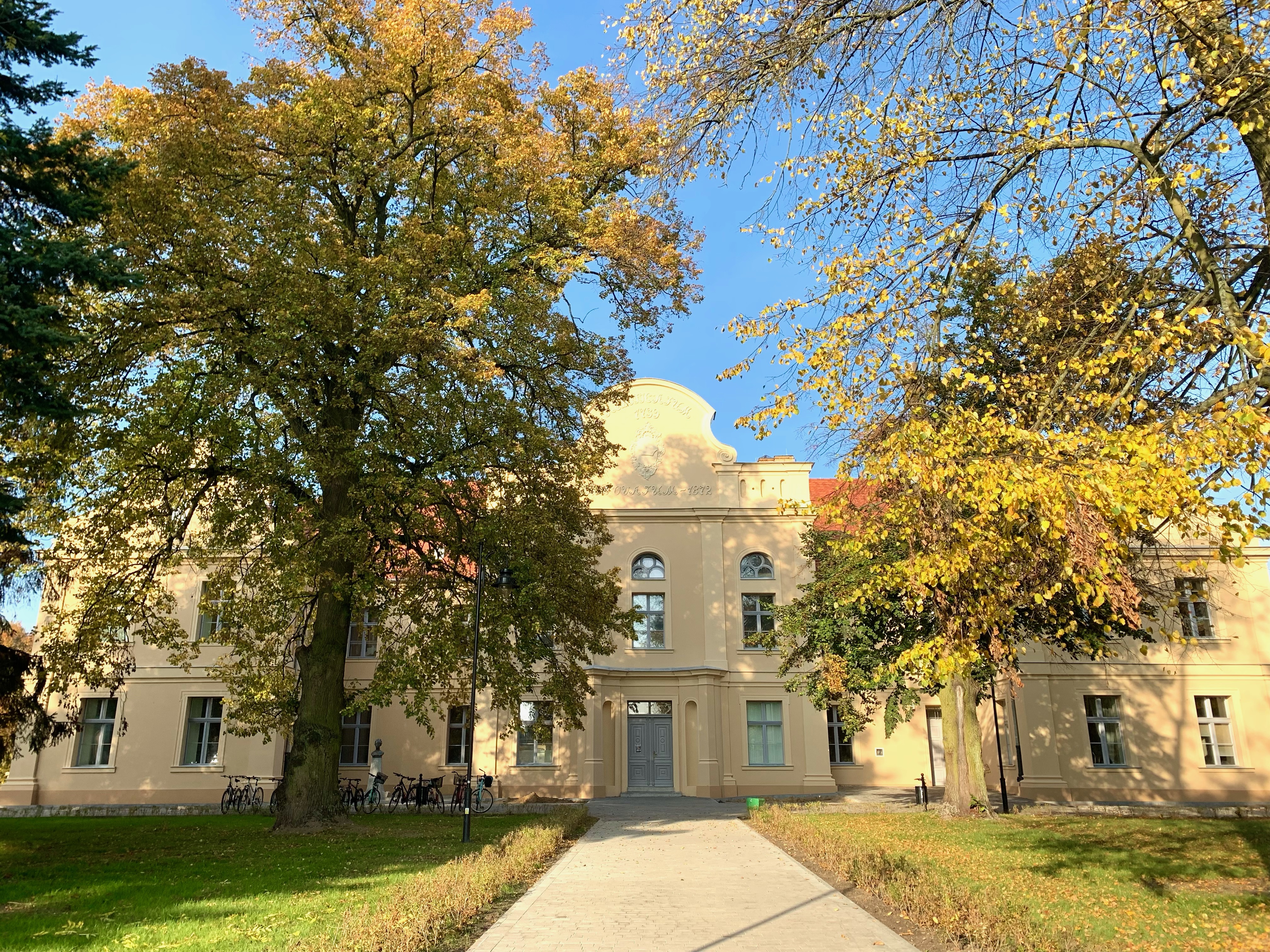 LO w Pniewach