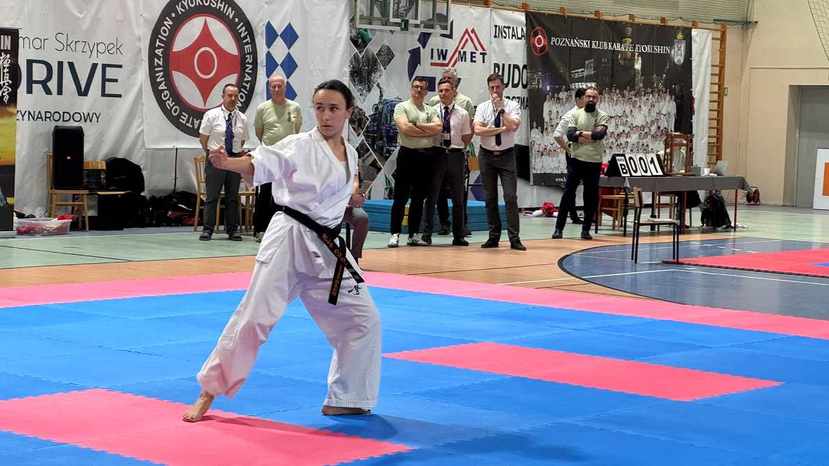 Mistrzostwa w karate