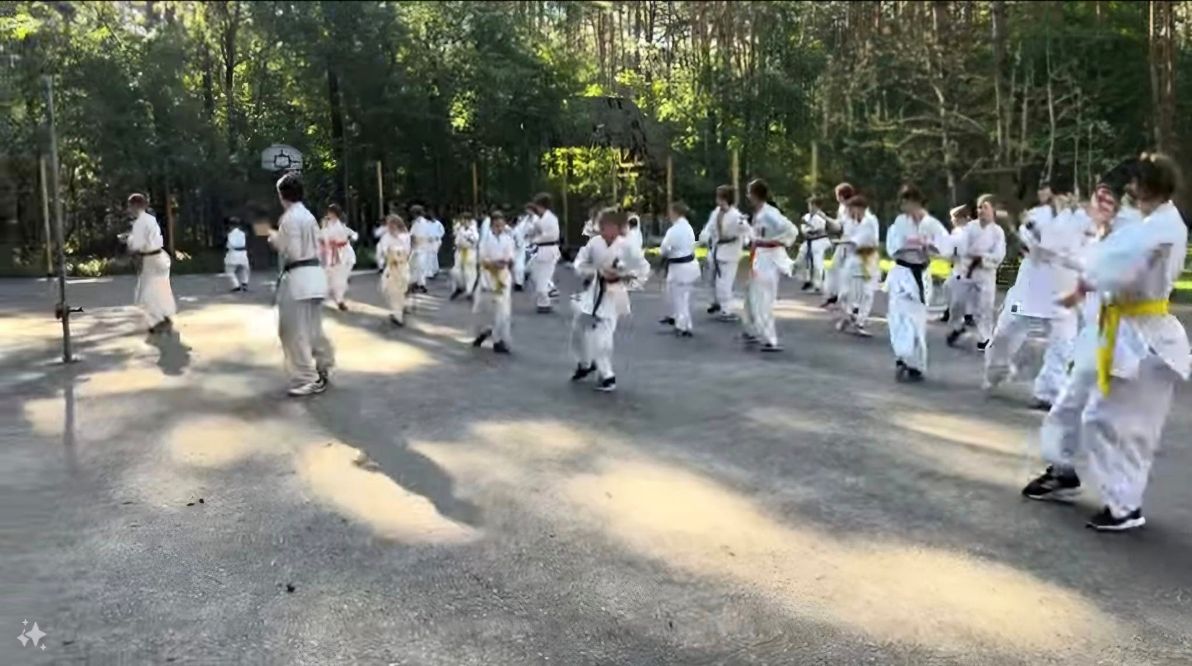 ob&oacute;z uks kyokushin karate