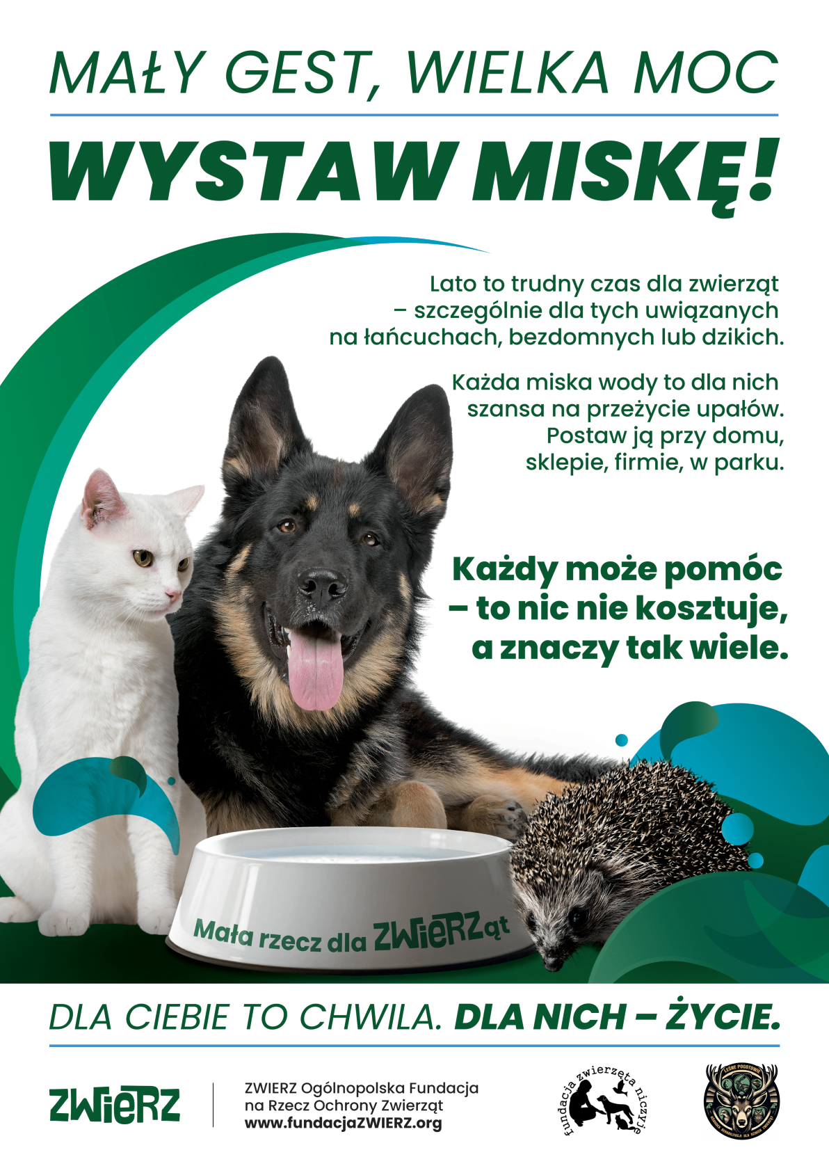 Wystaw miskę plakat