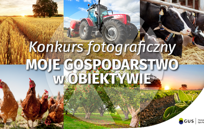 Zdjęcie do Konkurs fotograficzny