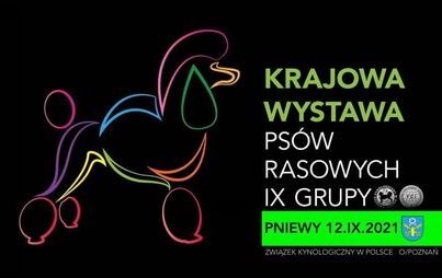 Zdjęcie do Krajowa Wystawa Ps&oacute;w Rasowych w Pniewach