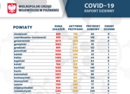 Zdjęcie do Covid-19 w Wielkopolsce
