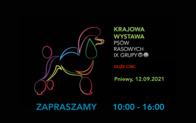 Zdjęcie do Wystawa Ps&oacute;w w najbliższą niedzielę