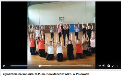 Zdjęcie do SP Pniewy w konkursie dla szk&oacute;ł- You Can Dance Nowa Generacja