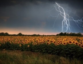 Zdjęcie do Ostrzeżenie meteorologiczne