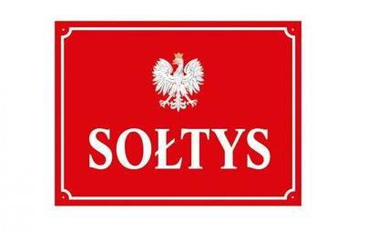 Zdjęcie do WYBORY UZUPEŁNIAJĄCE  SOŁTYSA SOŁECTWA DĘBORZYCE