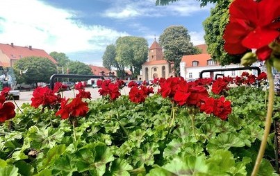 Zdjęcie do Zaproszenie na spacer