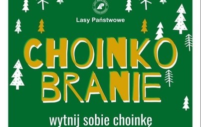 Zdjęcie do Nadleśnictwo Pniewy zaprasza
