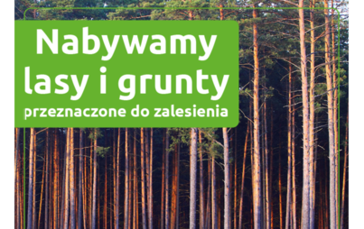 Zdjęcie do Nadleśnictwo Pniewy zainteresowane zakupem las&oacute;w i grunt&oacute;w