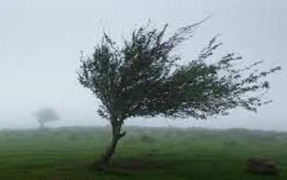 Zdjęcie do Ostrzeżenie meteorologiczne- SILNY WIATR!