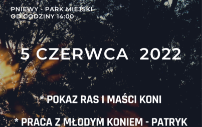 Zdjęcie do Dni Pniew 5 czerwca!