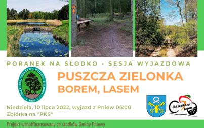 Zdjęcie do Puszcza Zielonka &ndash; borem, lasem