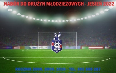 Zdjęcie do Sok&oacute;ł Pniewy ogłasza nab&oacute;r do drużyn młodzieżowych