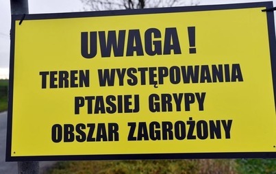 Zdjęcie do Ptasia grypa w gminie