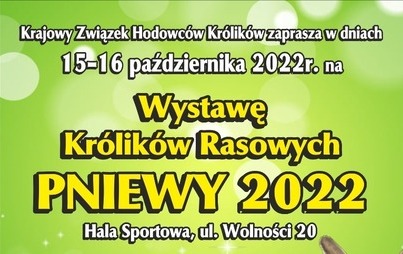 Zdjęcie do Zaproszenie na Wystawę Kr&oacute;lik&oacute;w w Pniewach 