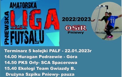 Zdjęcie do V kolejka PALF